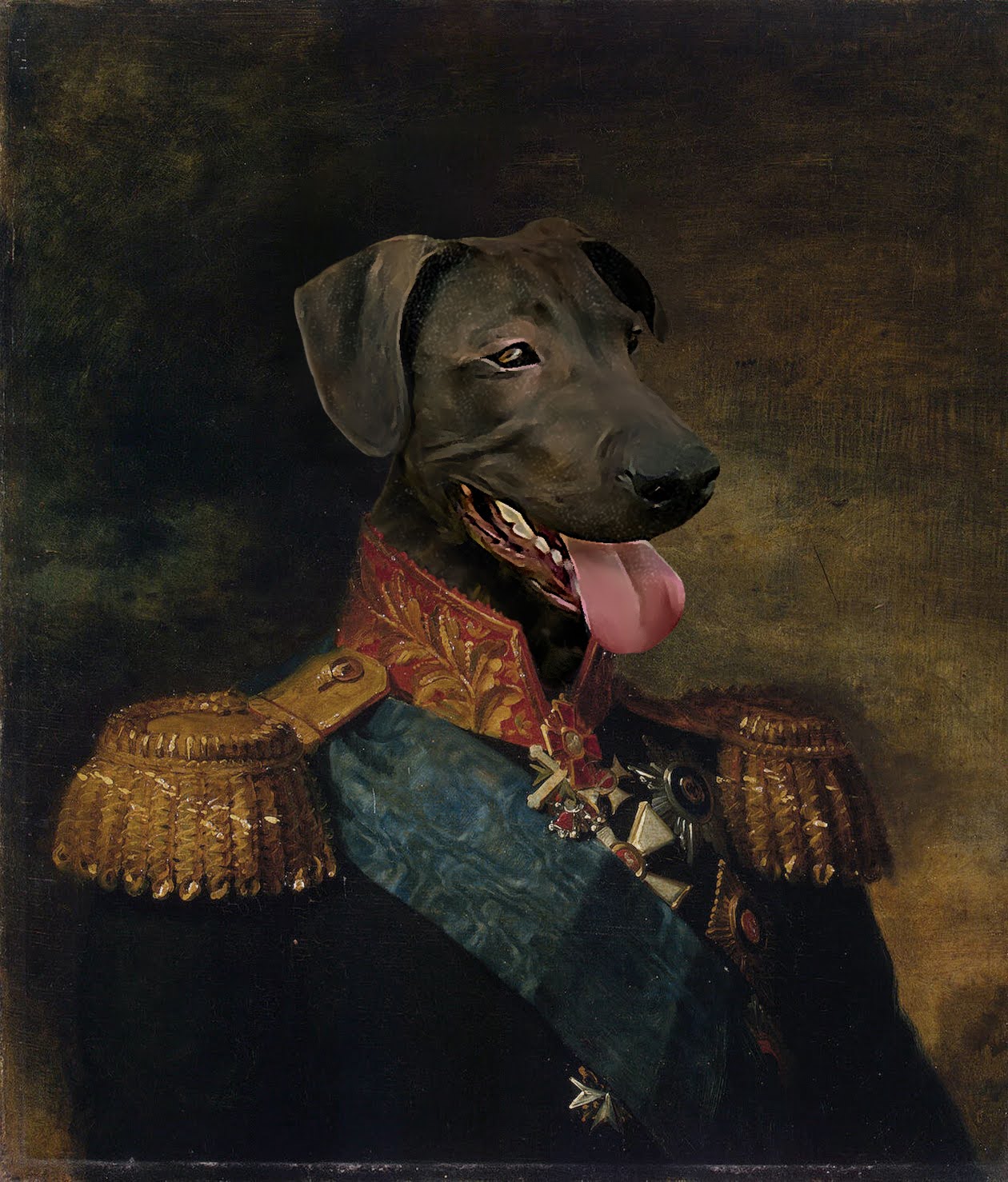 Colonel Rolo